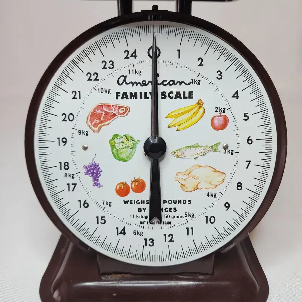 Vintage American Family Scale – Metal – Brown – Fully Functional